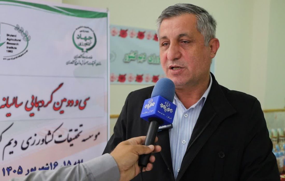 تولید گندم آذربایجانشرقی از ۶۵۰ هزار تن عبور کرد