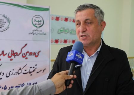 تولید گندم آذربایجان‌شرقی از ۶۵۰ هزار تن عبور کرد