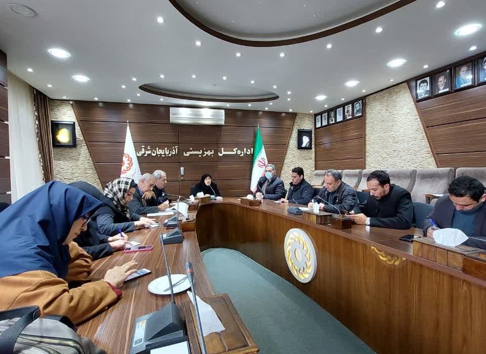 ۵۳ درصد معلولین استان، معلولیت شدید دارند/آذربایجان شرقی نیازمند ساخت مرکز جدید سالمندان نیست