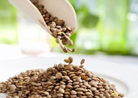 آذربایجان شرقی رتبه نخست تولید عدس را در کشور دارد