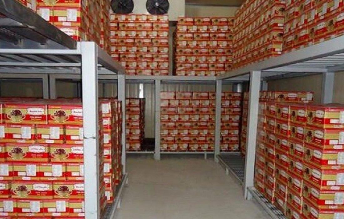 عرضه خرمای تنظیم بازاری در استان آذربایجان شرقی