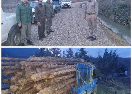 دستگیری متخلفین قطع اشجار در جنگلهای ارسباران