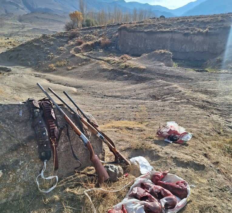 دستگیری شکارچیان غیرمجاز خرگوش حین شکار
