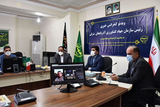 قیمت هویج به زیر ۱۰ هزار تومان می رسد