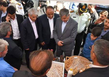 نخستین جشنواره بادام خسروشاه با هدف توسعه کشت کم‌آب‌بر  برگزار شد