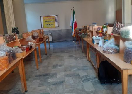 افتتاح نمایشگاه دستاوردها و توانمندی‌های بانوان روستایی و عشایر شهرستان جلفا