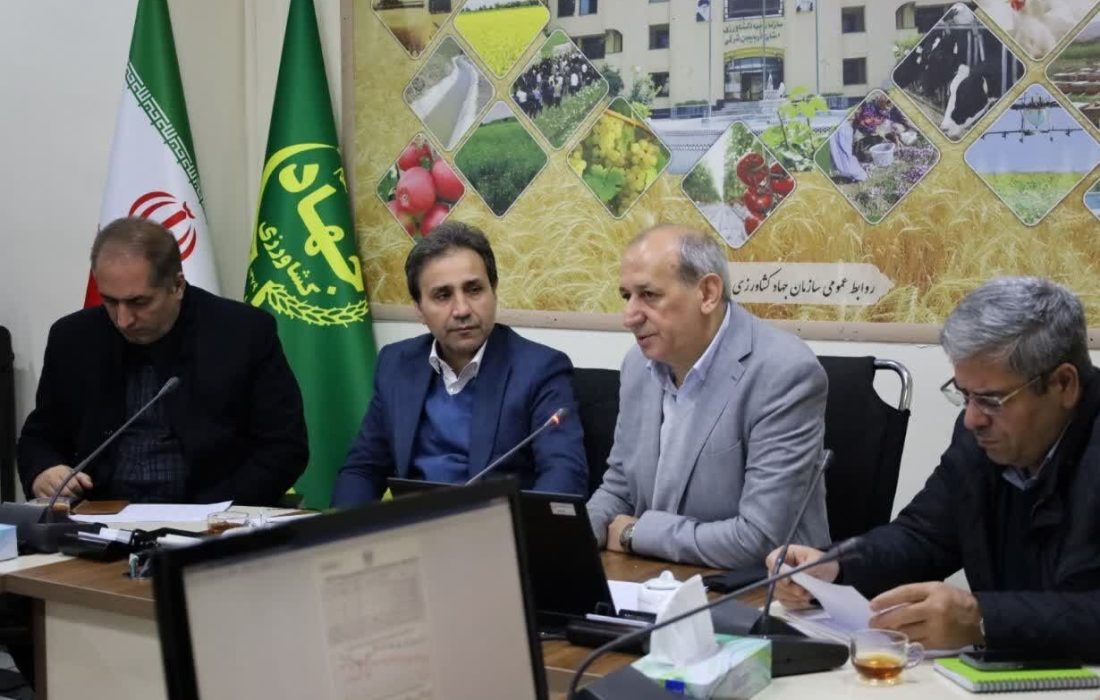 نیاز مصرفی گوشت مرغ در آذربایجان شرقی تامین شده است