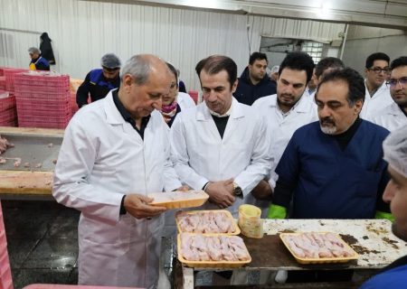 کشتار روزانه ۴۵۰ تن مرغ در آذربایجان شرقی