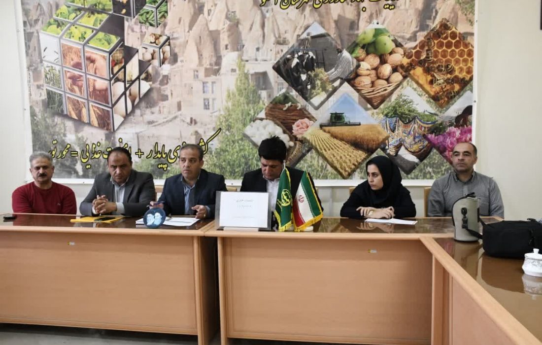 شهرستان اسکو رتبه اول تولید پسته در آذربایجان شرقی