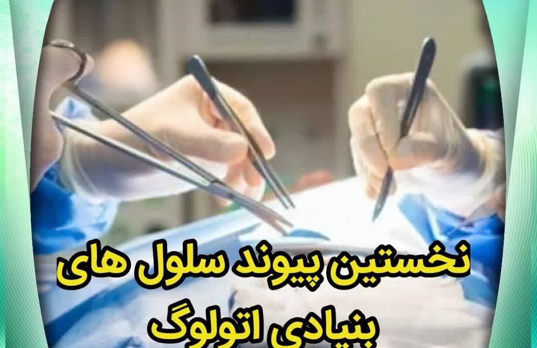 نخستین پیوند سلول های بنیادی اتولوگ در بیمارستان کودکان زهرا مردانی آذری با موفقعیت انجام شد