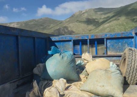 کشف و توقیف یک تن کانسنگ معدنی قاچاق در پارک ملی ارسباران با هوشیاری محیط بانان