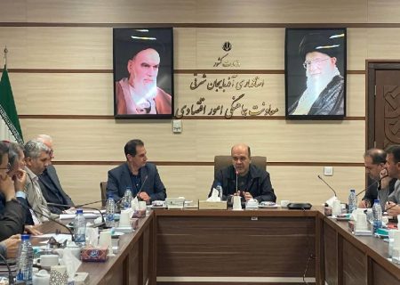 هر مدیری که نمی تواند در احیای واحدهای راکد همراهی کند، باید کنار برود