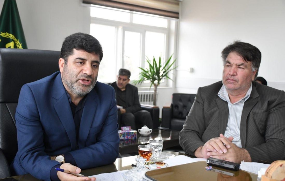 لزوم تعویض تاج و سرشاخه کاری درختان گردو در شهرستان آذرشهر