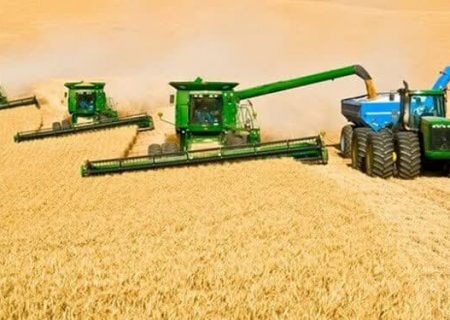 ۲۲۴هزار تن گندم در آذربایجان شرقی خرید تضمینی شد